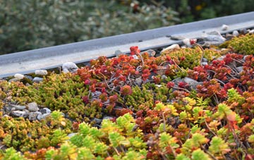 the cost of Thorpe St Peter green roof installation