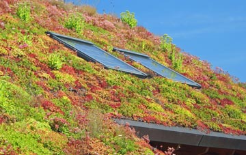 Thorpe St Peter living roof systems