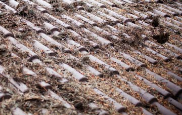 Thorpe St Peter roof cleaning companies