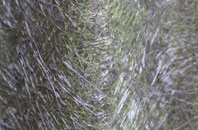 Thorpe St Peter fibreglass roof work